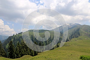 Siri Paye Meadows in Northern Pakistan