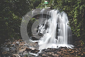 Sirimane Falls in Sringeri, Karnataka, India. Beautiful flowy milky waterfall.