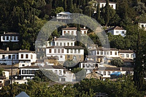 Sirince village selcuk izmir turkey. Forest