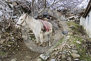 Sirince Village in Turkey