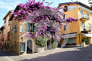 Sirmione, house in the old part of town with bougainvillea glabra
