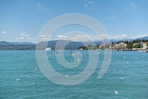 Sirmione Italy 08.05.2020: lake Garda with white birds