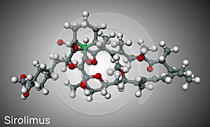 Sirolimus or rapamycin molecule. is a macrolide compound with immunosuppressant functions.  Molecule model