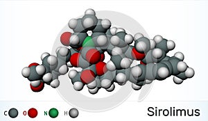 Sirolimus or rapamycin molecule. is a macrolide compound with immunosuppressant functions.  Molecule model