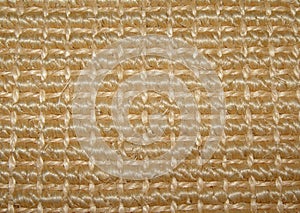 Sisal photo