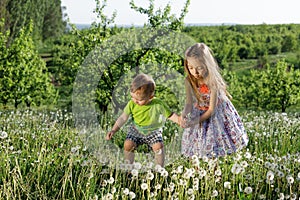 Dandelion field white girl boy happy little baby green meadow yellow flowers dandelions nature park garden two family sister broth