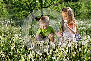 Dandelion field white girl boy happy little baby green meadow yellow flowers dandelions nature park garden two family sister broth