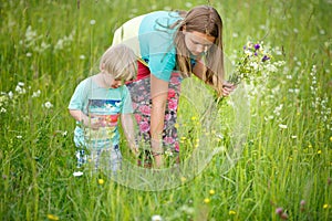 Sister with brother picking flowers