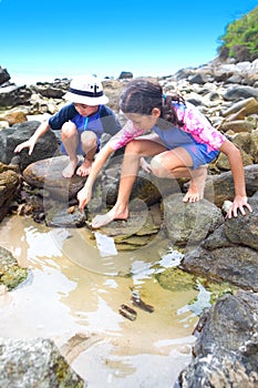 Sister and brother by a tropical rockpool photo