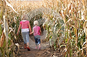 Sisters and a Corn Maze