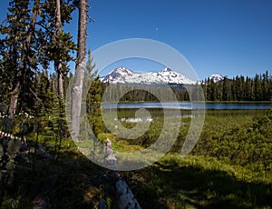 The Sisters and Lake Scott with trees