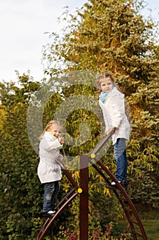 Sisters swarms up ladder on playground.