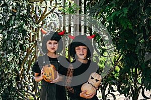 Sisters wearing wig with red horns holding pumpkins Halloween celebration party portrait