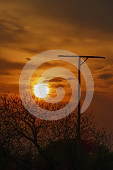 Sit pole for birds of prey in the sundown with silhouette of trees