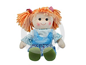 Sit and smiling cute rag doll isolated