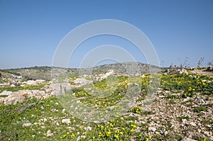 Site of ancient Yodfat, Yodfat mound