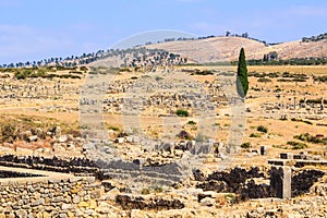 Site overview of the ruins of Volubilis, ancient Roman city in Morocco