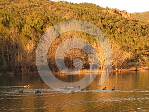Site of the tooth of the bear, france