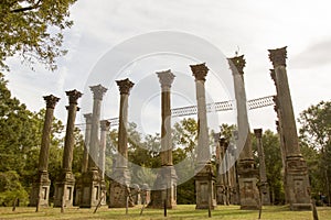 Site of Windsor Ruins, Mississipppi