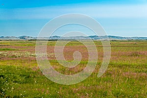 Site of Xanadu in Zhenglan Banner, Xilin Gol, Inner Mongolia, China. It was the summer capital of the Yuan dynasty.