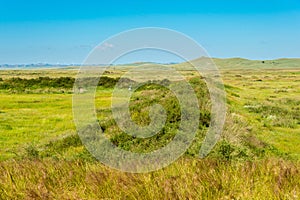 Site of Xanadu in Zhenglan Banner, Xilin Gol, Inner Mongolia, China. It was the summer capital of the Yuan dynasty.