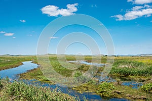 Site of Xanadu in Zhenglan Banner, Xilin Gol, Inner Mongolia, China. It was the summer capital of the Yuan dynasty. It is part of 