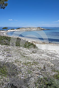 Sithonia coastline near Karydi Beach, Chalkidiki, Greece