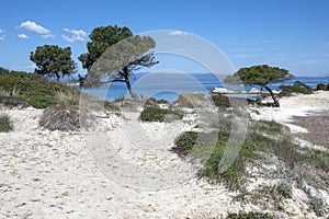 Sithonia coastline near Karydi Beach, Chalkidiki, Greece