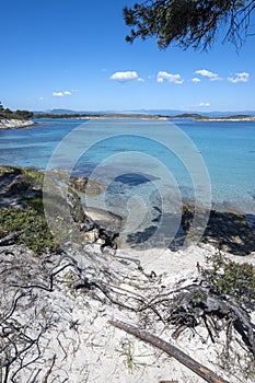 Sithonia coastline near Karydi Beach, Chalkidiki, Greece