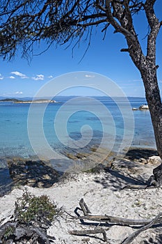 Sithonia coastline near Karydi Beach, Chalkidiki, Greece