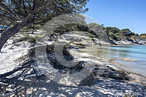 Sithonia coastline near Karydi Beach, Chalkidiki, Greece