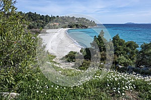 Sithonia coastline near Koviou Beach, Chalkidiki, Greece