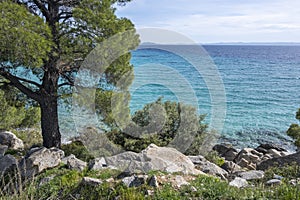 Sithonia coastline near Koviou Beach, Chalkidiki, Greece