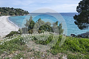 Sithonia coastline near Koviou Beach, Chalkidiki, Greece