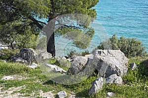 Sithonia coastline near Koviou Beach, Chalkidiki, Greece