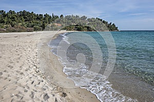 Sithonia coastline near Koviou Beach, Chalkidiki, Greece photo