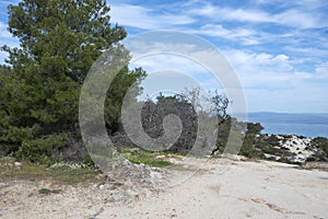 Sithonia coastline near Orange Beach, Chalkidiki, Greece