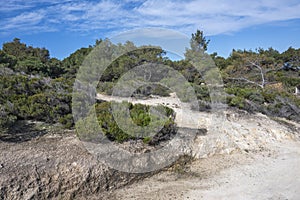 Sithonia coastline near Orange Beach, Chalkidiki, Greece