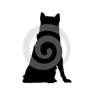 Sitting Alaskan Malamute Dog Silhouette Front View Preview Isolated On White Background