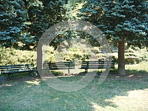 Sitting area in the park during summer