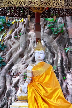 Sitting Buddha gold statue on root of banyan tree natural background