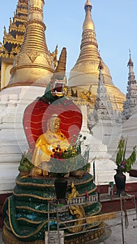 The Sitting Buddha image with naga