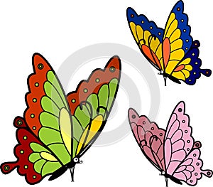 Sitting butterflies of different colors