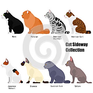 Sitting cats side view set