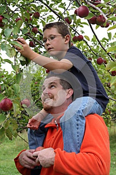 Sitting on Dad's shoulders photo