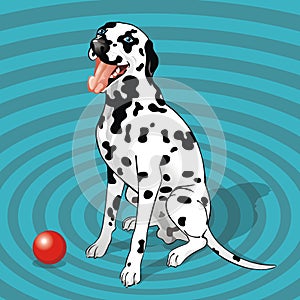 Sitting dalmatian with a ball