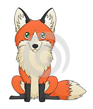 Sitting Fox