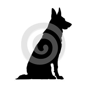 Sitting German shepherd dog silhouette isolated on a white background