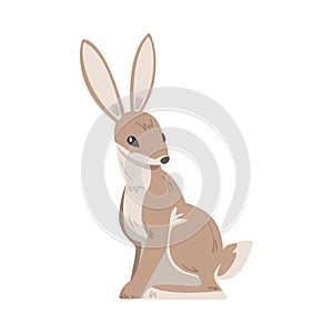 Sitting Hare or Jackrabbit as Swift Animal with Long Ears and Grayish Brown Coat Vector Illustration