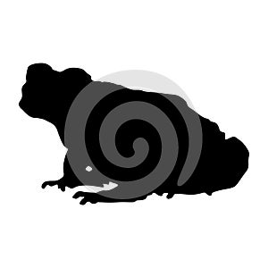 Sitting Marine Toad Bufo Marinus On a Side View Silhouette Found In Map Of Central America,Oceania And South America